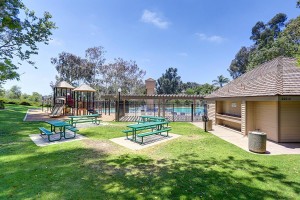 Roknich.com - DanaWoods Facilities